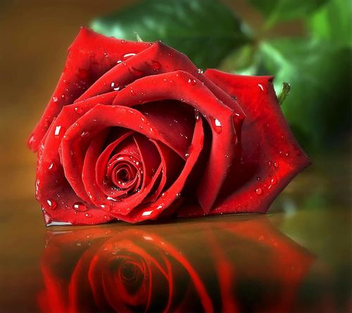 عکس های عاشقانه 11 خرداد