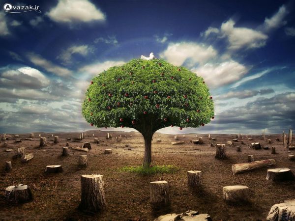 برای نمایش بزرگترین اندازه كلیك كنید