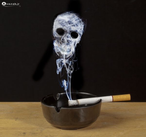 برای نمایش بزرگترین اندازه كلیك كنید