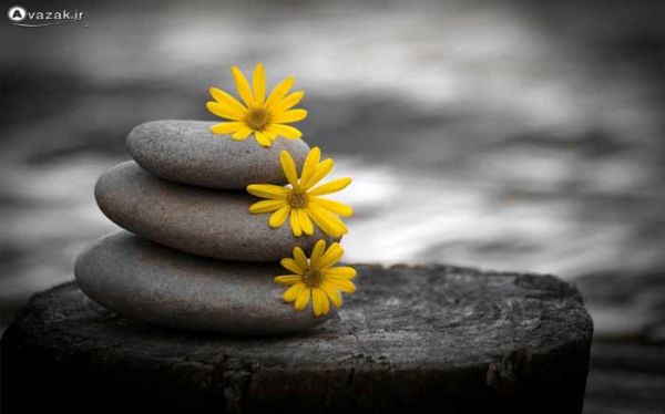 براي نمايش بزرگترين اندازه كليك كنيد