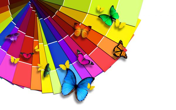 normal_colorful_butterflies-wide.jpg